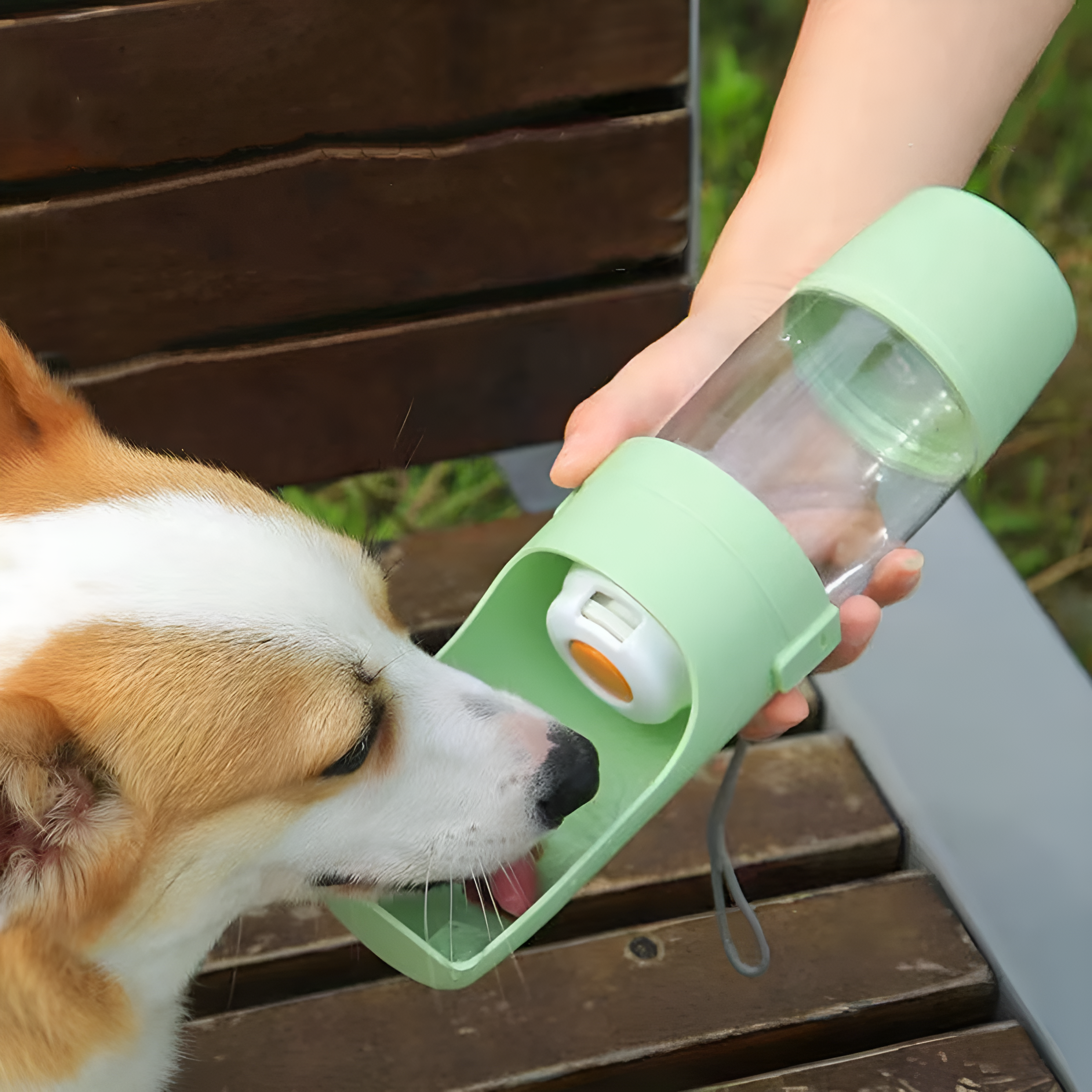 RoverReady - Portable Food and Water Bottle